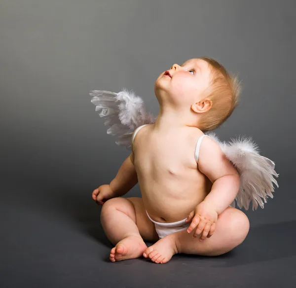 Bebê infantil com asas de anjo em fundo neutro Fotografia De Stock