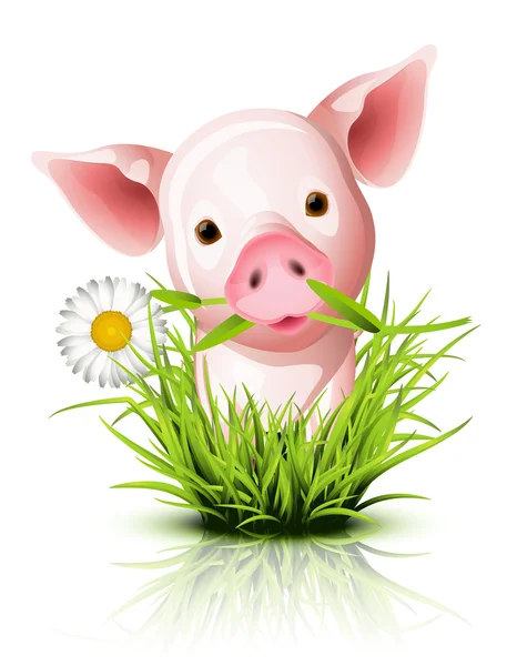Pequeño cerdo rosa en la hierba — Vector de stock