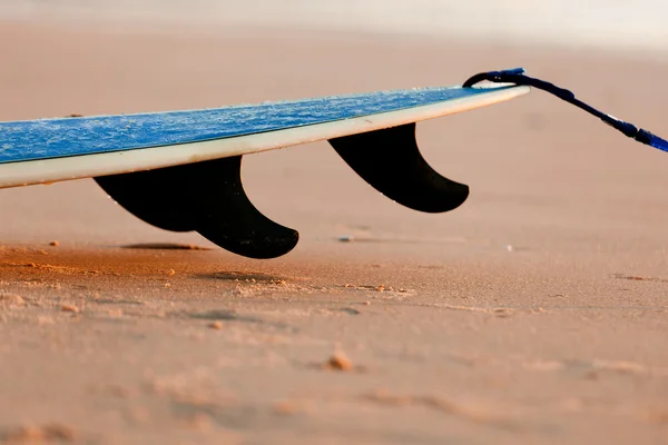 Sörf tahtası — Stok fotoğraf