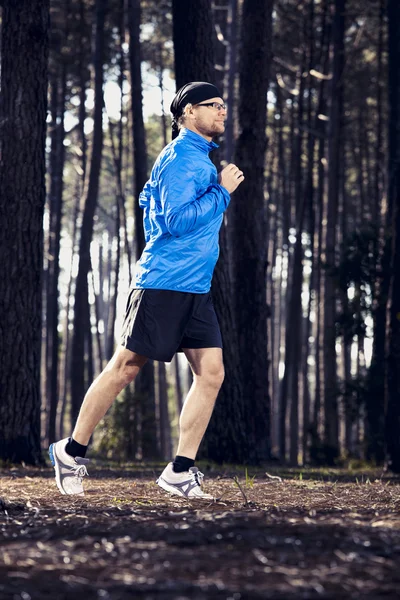 Correr na floresta — Fotografia de Stock