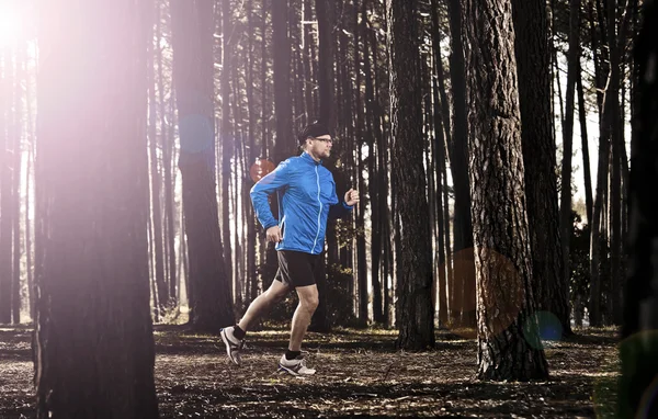 Corriendo en el bosque —  Fotos de Stock