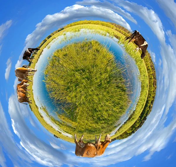 Kleine planeet panorama — Stockfoto