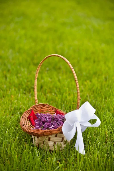 Lilac petals — Stock Photo, Image