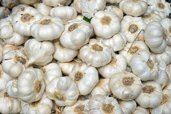 stock image Fresh garlic