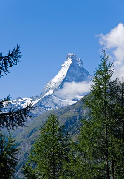 O Matterhorn atrás de algumas árvores — Fotografia de Stock