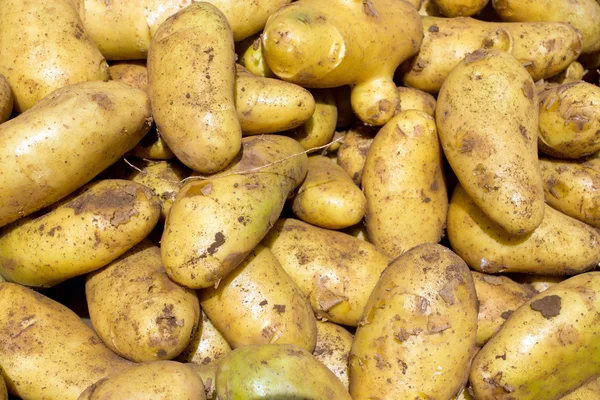 stock image Potatoes on a market