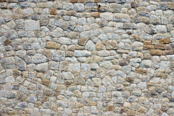 Mooie stenen muur — Stockfoto