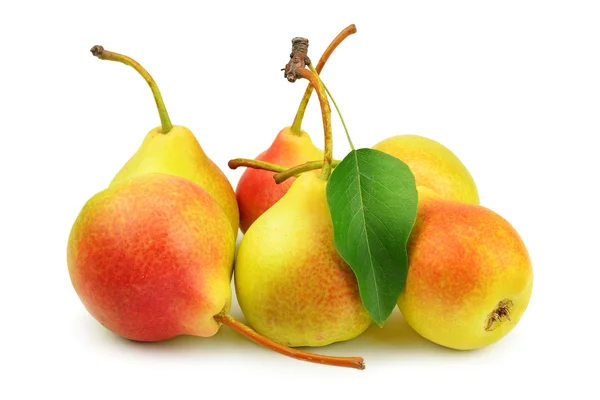 stock image Collection pears