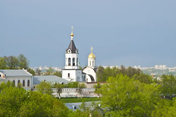 Panorama di Vladimir — Foto Stock