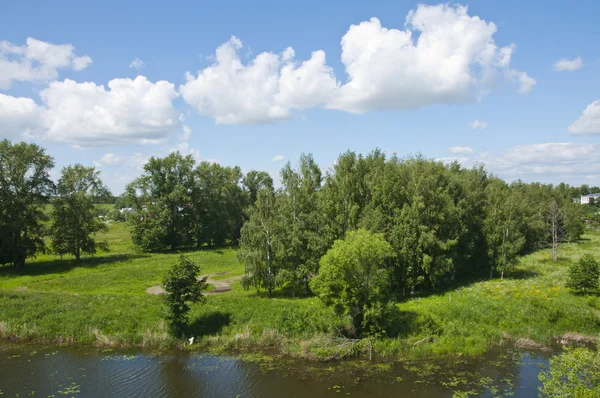 Ryska flodlandskap — Stockfoto
