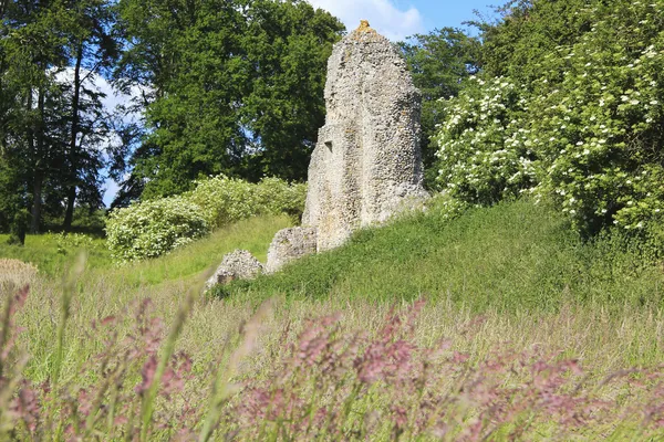 Berkhamsted castillo ruinas hertfordshire Reino Unido — Foto de Stock