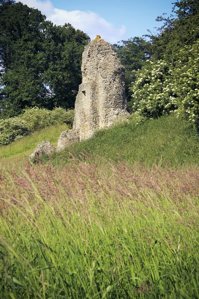 Berkhamsted slottsruiner hertfordshire uk — Stockfoto