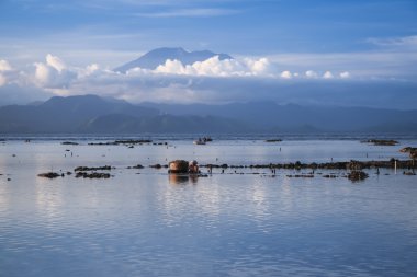 Deniz yosunu çiftçiler nusa lembongan bali