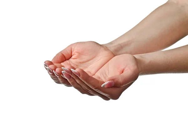 Female cupped hands — Stock Photo, Image