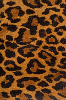 Leopard print pattern clipart