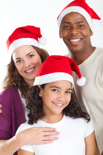 Rodinný portrét vánoční Stock Obrázky