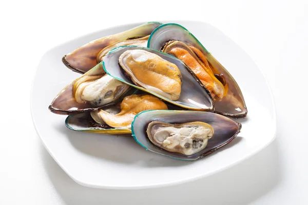 Raw mussel on plate — Stock Photo, Image