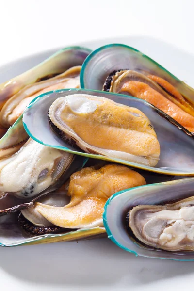Raw mussel on plate — Stock Photo, Image