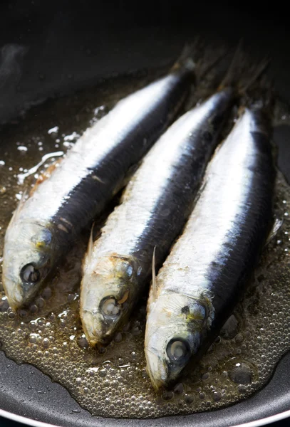 Raw sardine cooking in frying pan — Stock Photo, Image