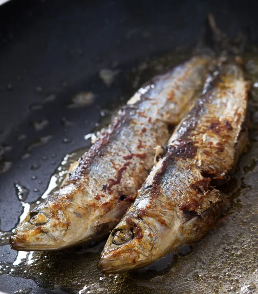 Frying sardines — Stock Photo, Image