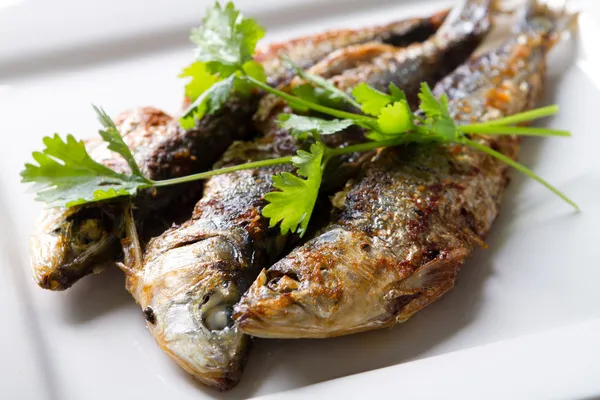 Fried sardine on plate with coriander — Stock Photo, Image