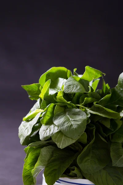 Gröna bladgrönsaker grönsaker över svart bakgrund — Stockfoto