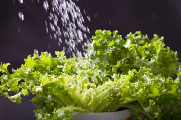 A zöld saláta fröccsenő víz — Stock Fotó