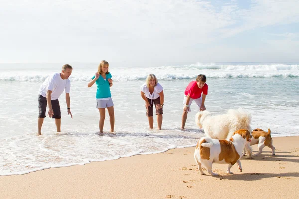 Familj spelar med familj hund på stranden — Stockfoto