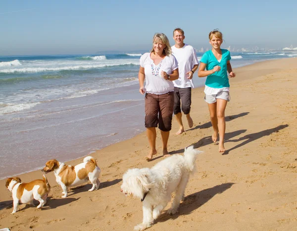 Familie und Familienhunde laufen am Strand — Stockfoto