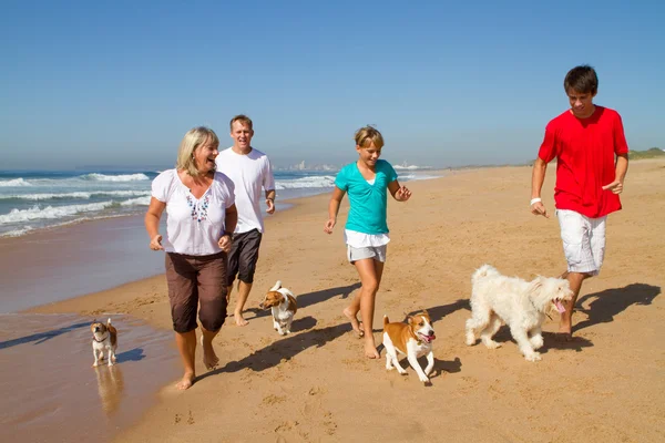 Активная семья с собаками, бегающими на пляже — стоковое фото