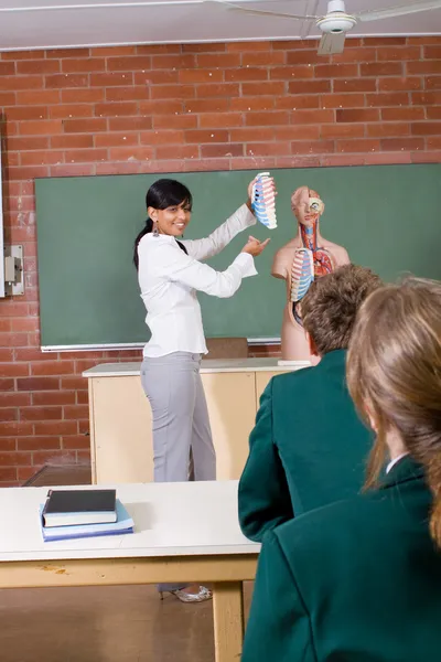 High school teacher and students in biology class — Stock Photo, Image