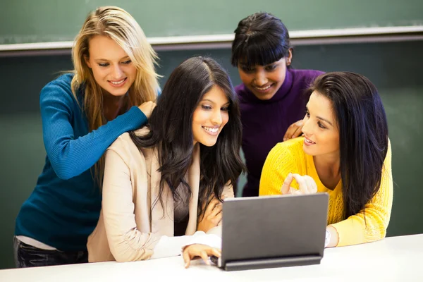 College students discussing project on laptop — Stock Photo, Image
