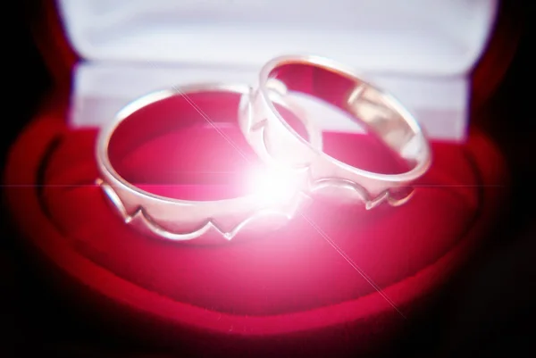 Dos anillos de boda en oro blanco —  Fotos de Stock