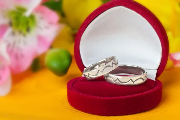 Wedding rings made of white gold — Stock Photo, Image