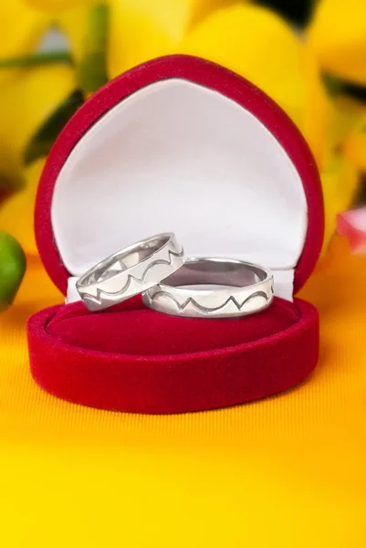 Wedding rings made of white gold — Stock Photo, Image