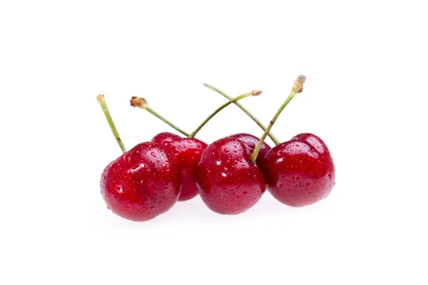 Wet Cherries On White — Stock Photo, Image