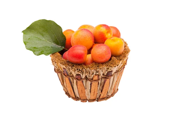 Basket With Apricots Isolated — Stock Photo, Image