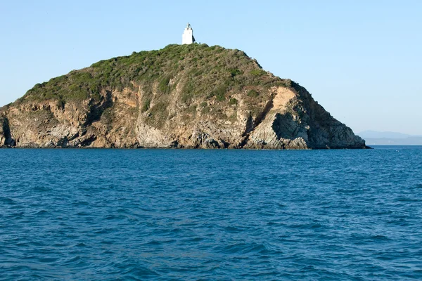 Vue De L'île De Palmaiola — Photo