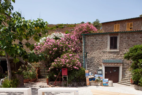 Gamla byggnader och blommor på ön capraia — Stockfoto