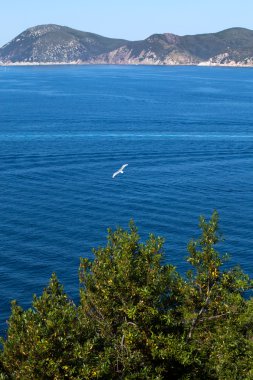 mavi deniz, portoferraio, elba Adası