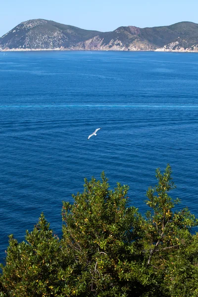 Mar Azul en Portoferraio, Isla Elba —  Fotos de Stock