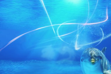 Underwater Background With Dolphin clipart