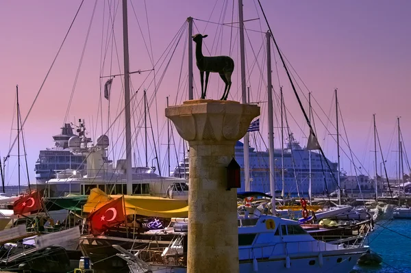 Ciervo en puerto de madraki — Foto de Stock