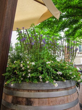 Old wooden barrel with flowers clipart