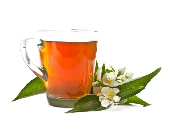 stock image Tea with Jasmine