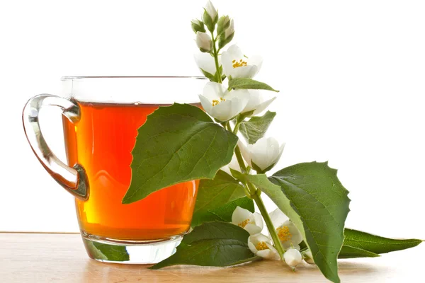 stock image Tea with Jasmine