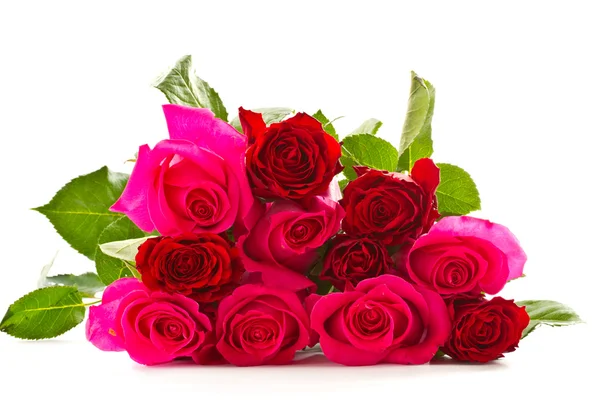 Ljusa vackra rosa rosor — Stockfoto