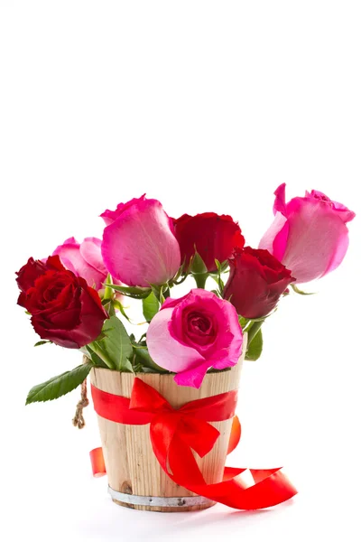 Jasne piękne różowe róże — Zdjęcie stockowe