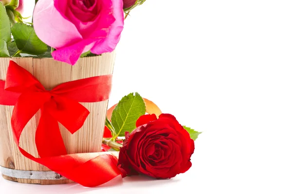 Bright beautiful pink roses — Stock Photo, Image