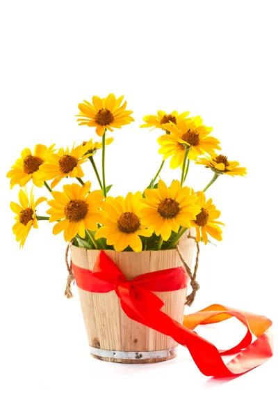 Yellow daisies Stock Picture